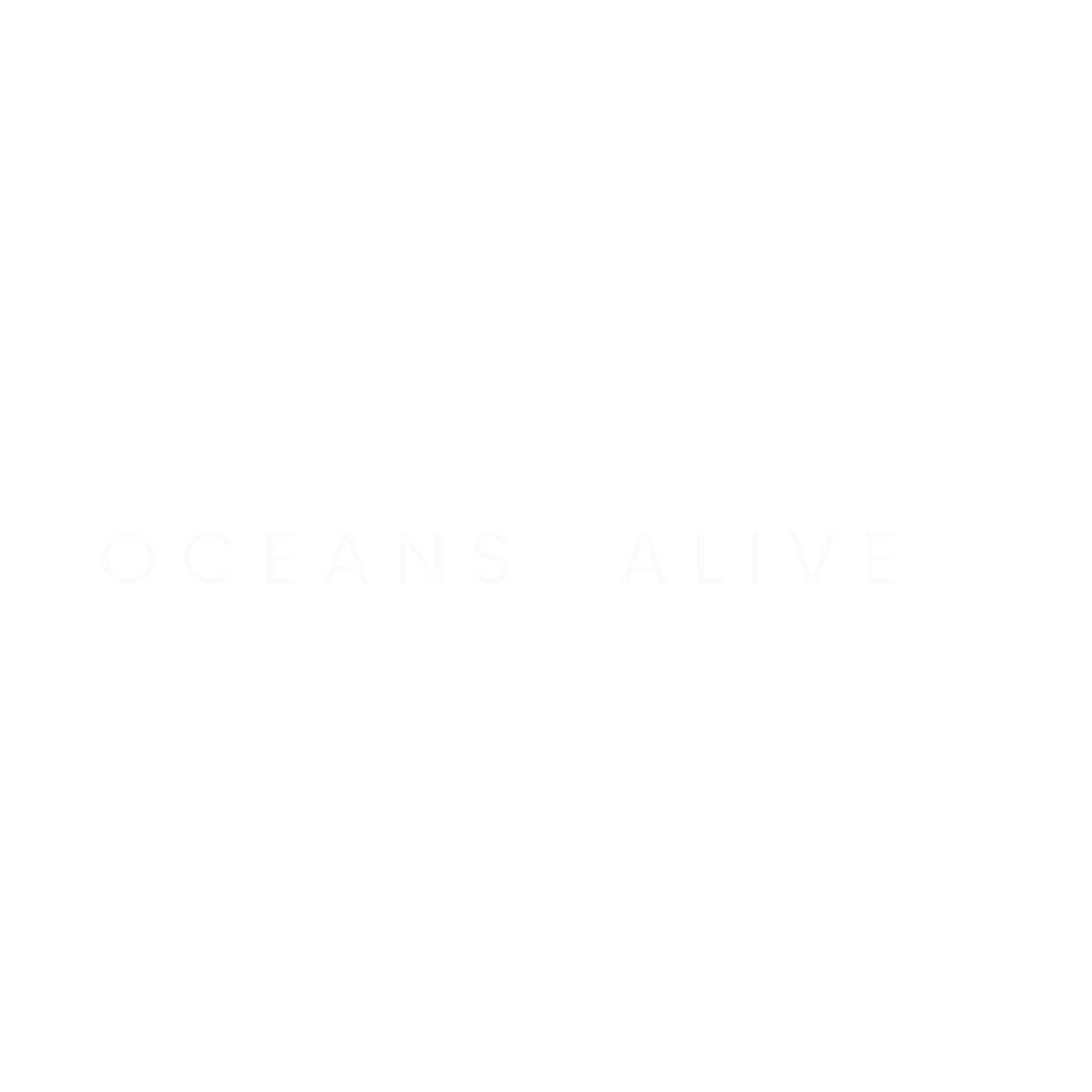 Oceans Alive Foundation