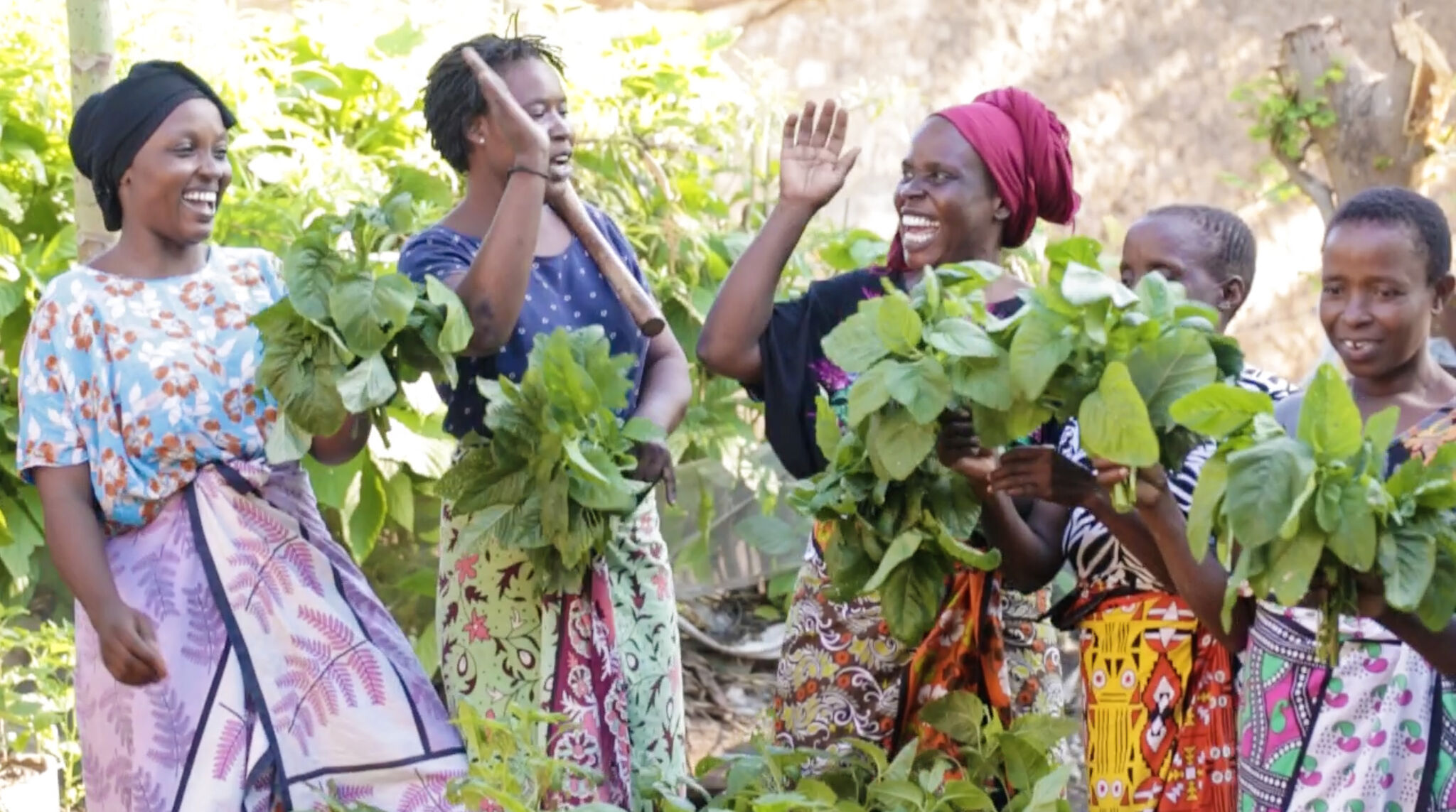 Women laughing and holding fresh vegetables from kitchen gardens