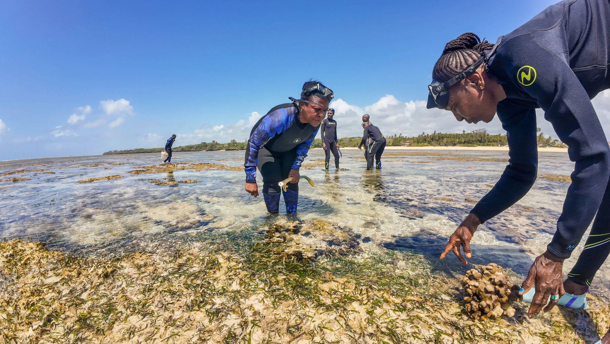 Royal visit to the Kuruwitu conservation project in 2023