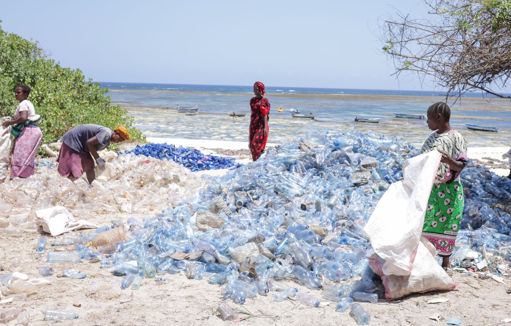 Trash4Cash women sorting plastic waste into categories for recycling
